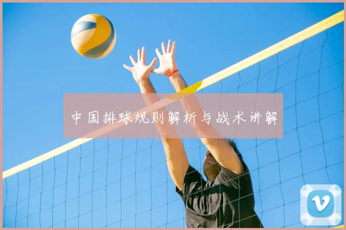 中国排球规则解析与战术讲解